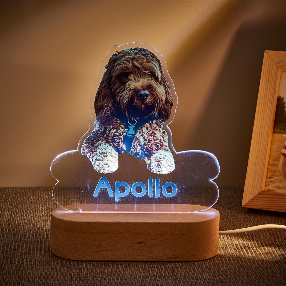 510695590242287619